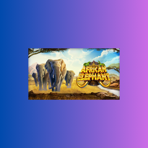 Game Slot Online African Elephant – Pragmatic Play